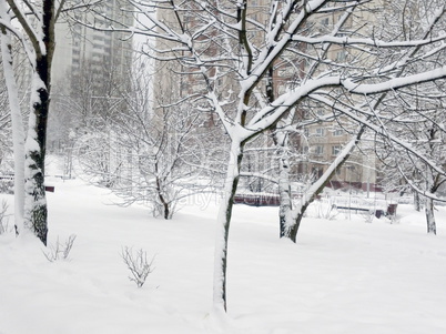 city park after snowfall at day