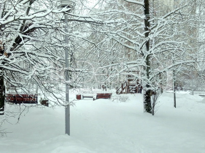 city park after snowfall at day