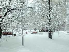 city park after snowfall at day