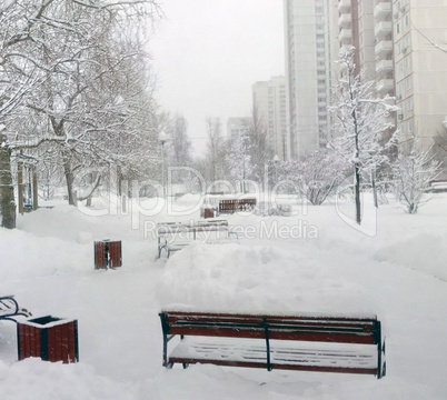 city park after snowfall at day