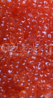 red caviar at day