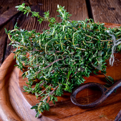 Herbal collection of: thyme,oregano, rosemary