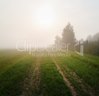 Field in the fog