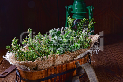 Herbal collection of: thyme,oregano, rosemary