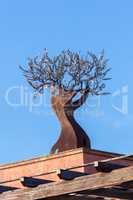 Interesting iron ornament on the top of the house