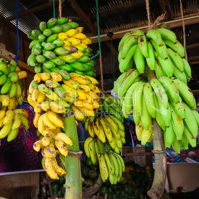 Bananas bunch in fruit shop on sri lanka.