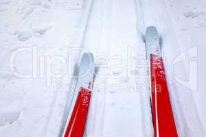 Cross-country skis in winter landscape