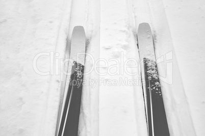 Cross-country skis in winter landscape