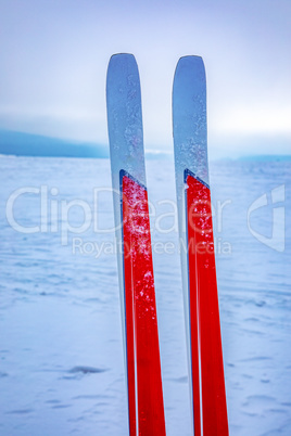 Cross-country skis in winter landscape