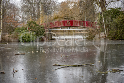 Frozen pond in winter