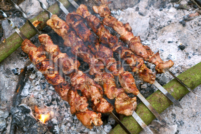 barbecue on the nature, cook meat on coals on a fire on skewers, to have a rest on the nature