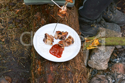 barbecue on the nature, cook meat on coals on a fire on skewers, to have a rest on the nature