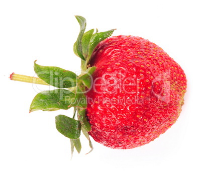 one raw red Strawberry