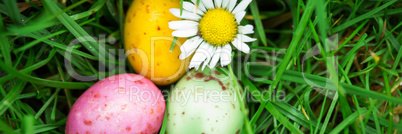 Small easter eggs nestled in the grass with a daisy