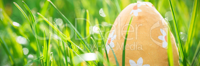 Easter egg nestled in the grass