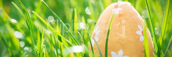 Easter egg nestled in the grass