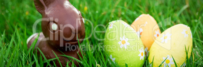 Chocolate bunny in the grass with easter eggs