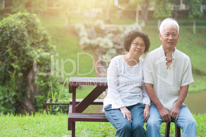 Senior Asian couple portrait.