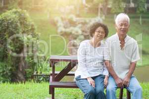 Senior Asian couple portrait.