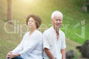 Mature Asian couple portrait.