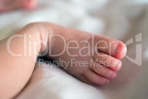 New born baby feet close up