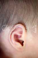 Close up newborn baby ear