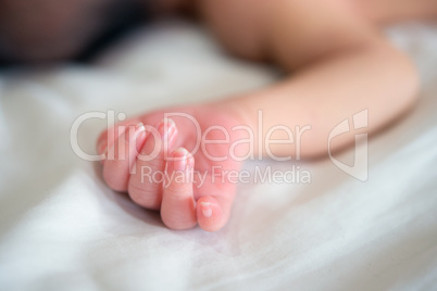 Close up newborn baby hand