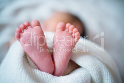Newborn baby feet close up
