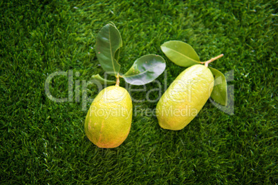 Top view organic lemons on lawn