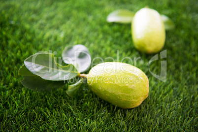 organic lemons on lawn