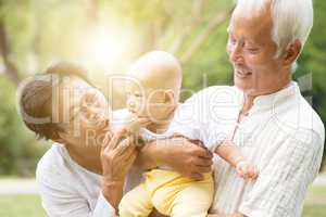 Grandparents and grandchild outdoors.