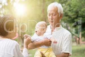 Grandparents playing with grandchild outdoors.