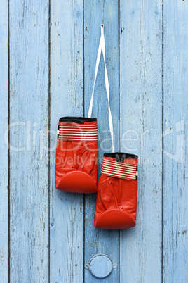 a pair of red leather boxing gloves hanging on a white cord