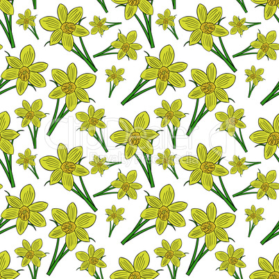 blooming yellow daffodils with green leaves