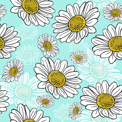 blossoming white daisies on a blue background