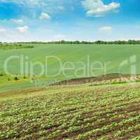 Landscape with hilly field and blue sky.