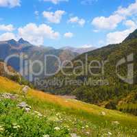 Mountain landscape,meadow, hiking trail and beautiful sky.