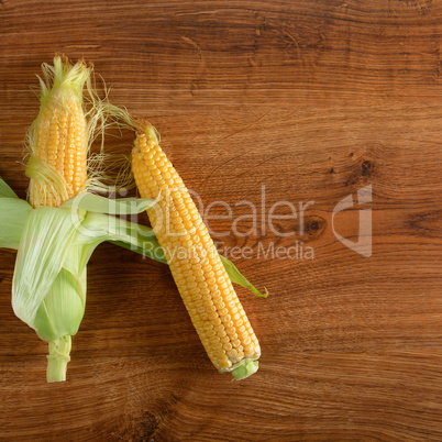 Three fresh corn cob on wooden table. Healthy food.