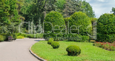 Park,hedge, green meadow and blue sky. A bright sunny day.