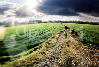 road landscape