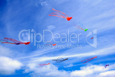 kites and blue sky