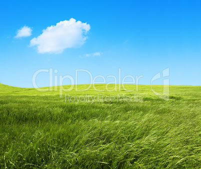 green nature background