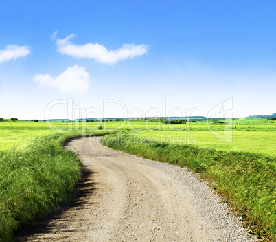 Wheat field and road