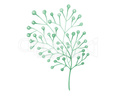 Watercolor drawn plant deocration on white background