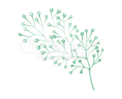 Watercolor drawn green plant deocration on white background