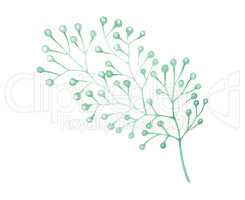 Watercolor drawn green plant deocration on white background