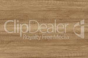 Brown wood texture. Abstract background