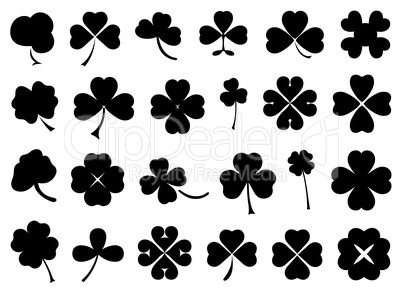 Set of different clovers set