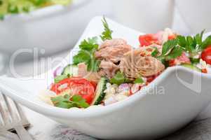 A tuna salad