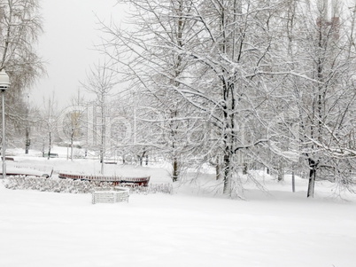 city park after snowfall at day